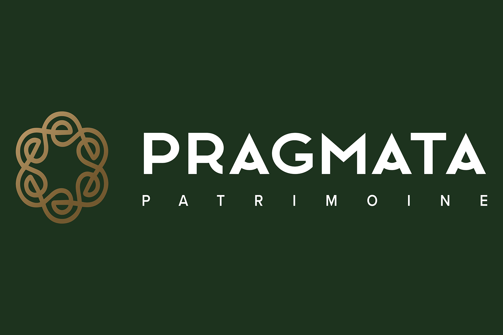 _PROD-Pragmata-Bache